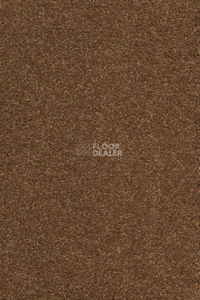 Ковролин AW Vivendi Punch 80 фото 1 | FLOORDEALER